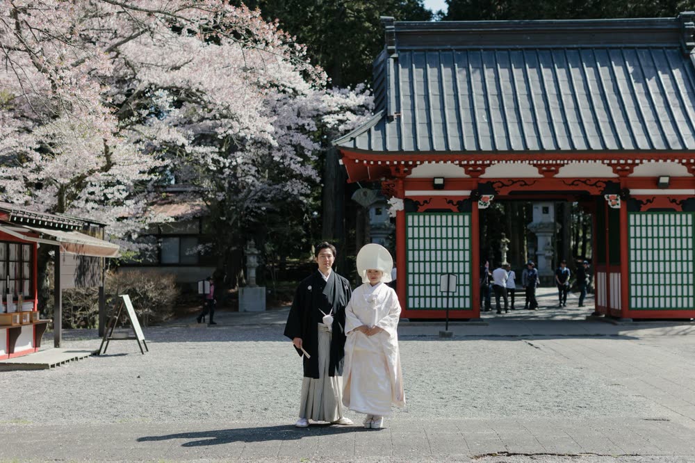 桜の咲く神社で、白無垢と紋付袴のふたり（前撮り写真）